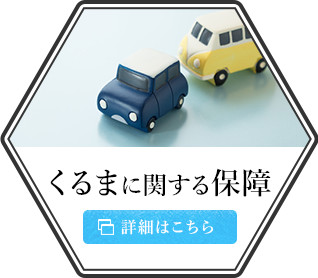 くるまに関する保障