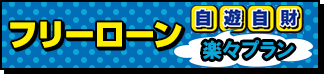 フリーローン自遊自財楽々プラン