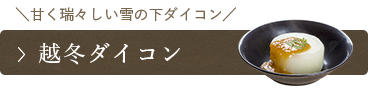 越冬ダイコン